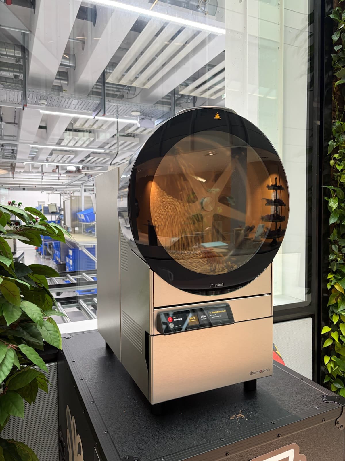 A Mikafi electric roaster mid-roast, beans turning behind its round glass window